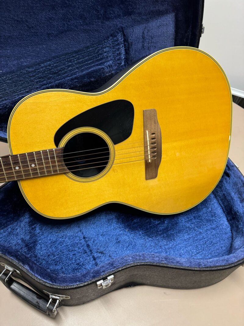 Applause akoestische gitaar met koffer - Afbeelding 3