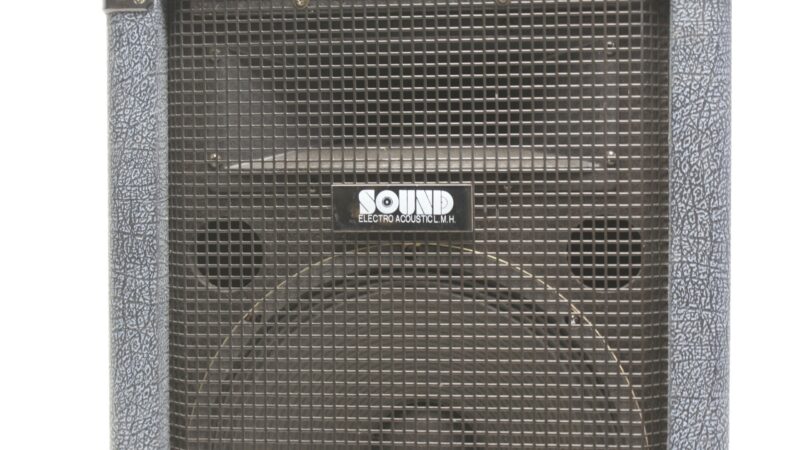 Paar SOUND Electro Acoustic MS-124 Passieve PA-luidspreker – 150 W RMS - Afbeelding 3